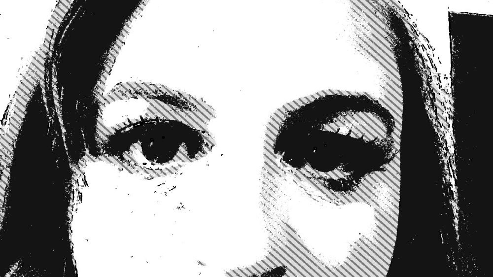 the top half of a woman's face, in grey, black and white reminissant of newspaper or zebra stripes. She stares directly at the watcher.